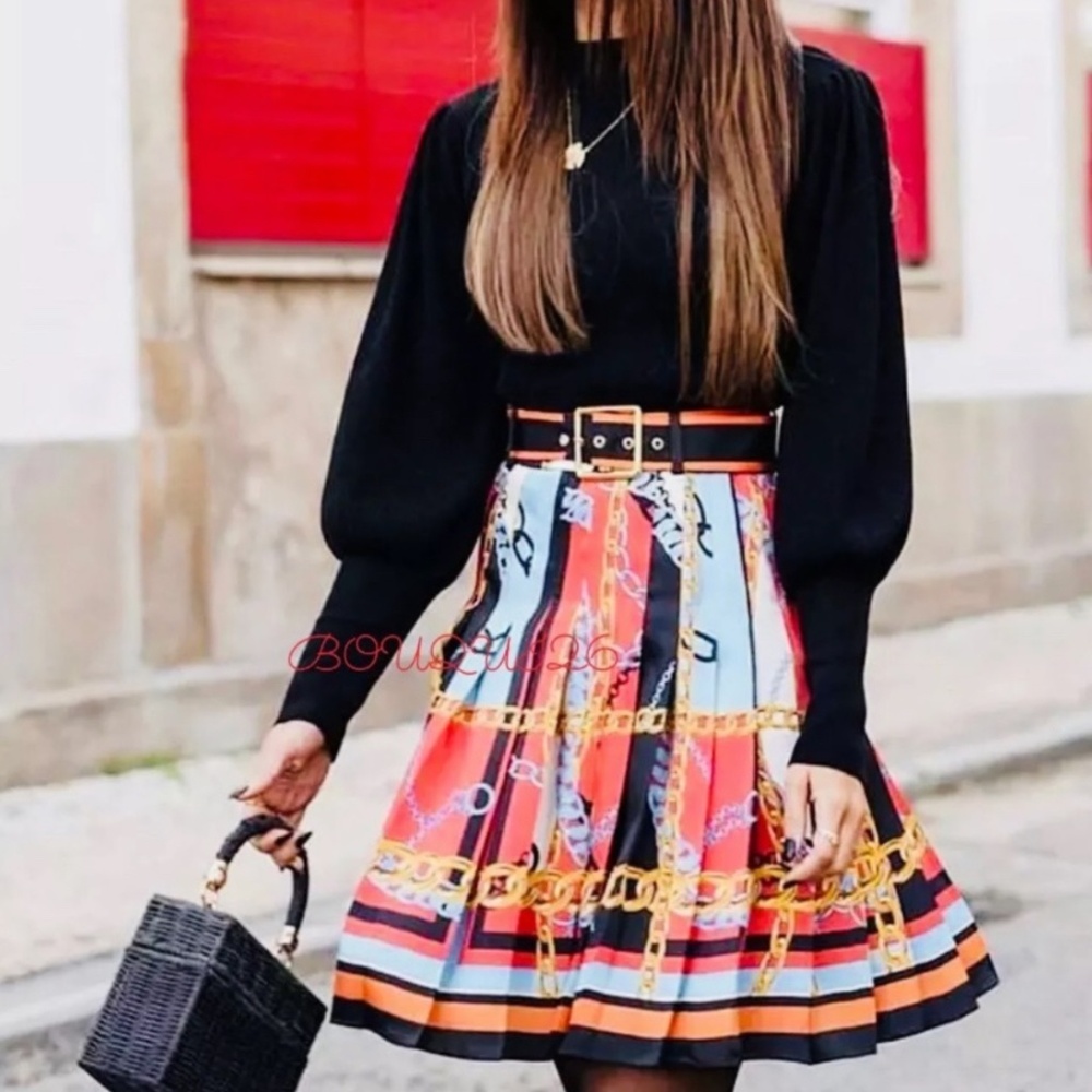 Zara XS Chain Printed Pleated Skirt